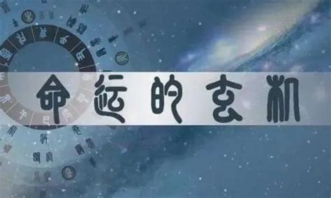 寡宿 月柱|紫微斗数诸星落命宫之：孤辰、寡宿详解【命理八字实战】